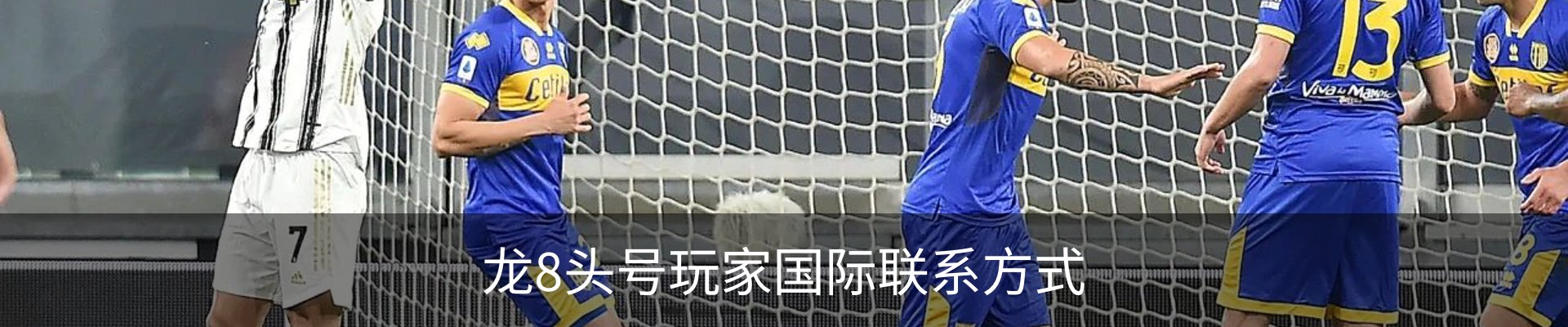 龙8头号玩家国际联系方式